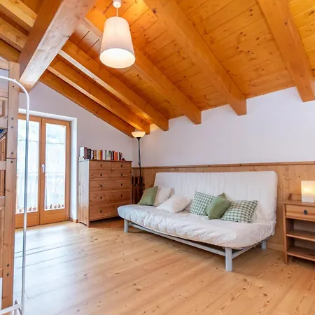 El Feral - Mansarda Apartment Selva di Cadore
